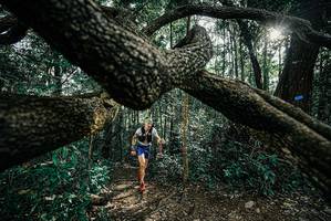 BIB: 
                            <button type="button" onclick="openModal(25663161)" class="btn btn-primary btn-sm float-right btn-popup" data-toggle="modal" data-target=".modal-high-quality">
                        <i class="fas fa-shopping-cart"></i> Add to Cart
                    </button>
                                            <button type="button" onclick="isThisMe(25663161, true)" class="btn btn-success btn-sm float-right btn-popup btn-isme hidden" data-toggle="tooltip" data-placement="bottom" title="นี่คือรูปของคุณใช่ไหม คลิกที่นี่เพื่อเอาเข้าอัลบั้ม">
                        <i class="fas fa-plus"></i> Add to album
                    </button>
                    <button type="button" onclick="isThisMe(25663161, false)" class="btn btn-warning btn-sm float-right btn-popup btn-isnotme hidden">
                        <i class="fas fa-ban"></i> Remove from album
                    </button>